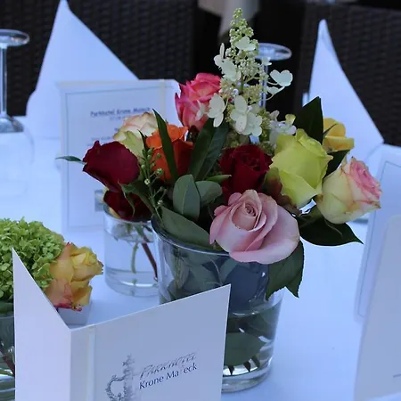 酒店 克朗公园酒店 3*