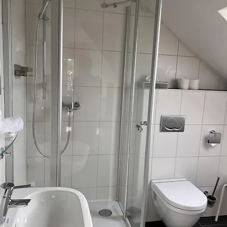 Parkhotel Krone Maleck מלון 3*