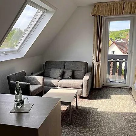 Hotel Parkhotel Krone Maleck 3*