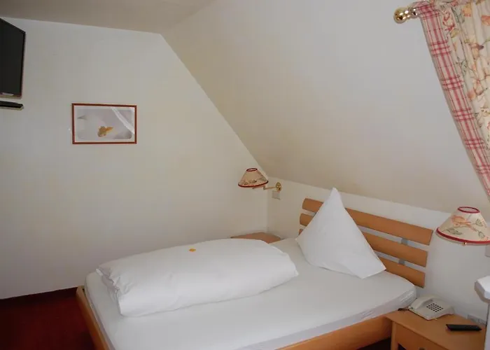 Hotel Parkhotel Krone Emmendingen