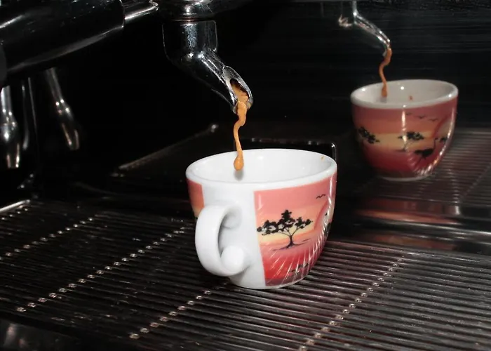 Parkhotel Krone Emmendingen